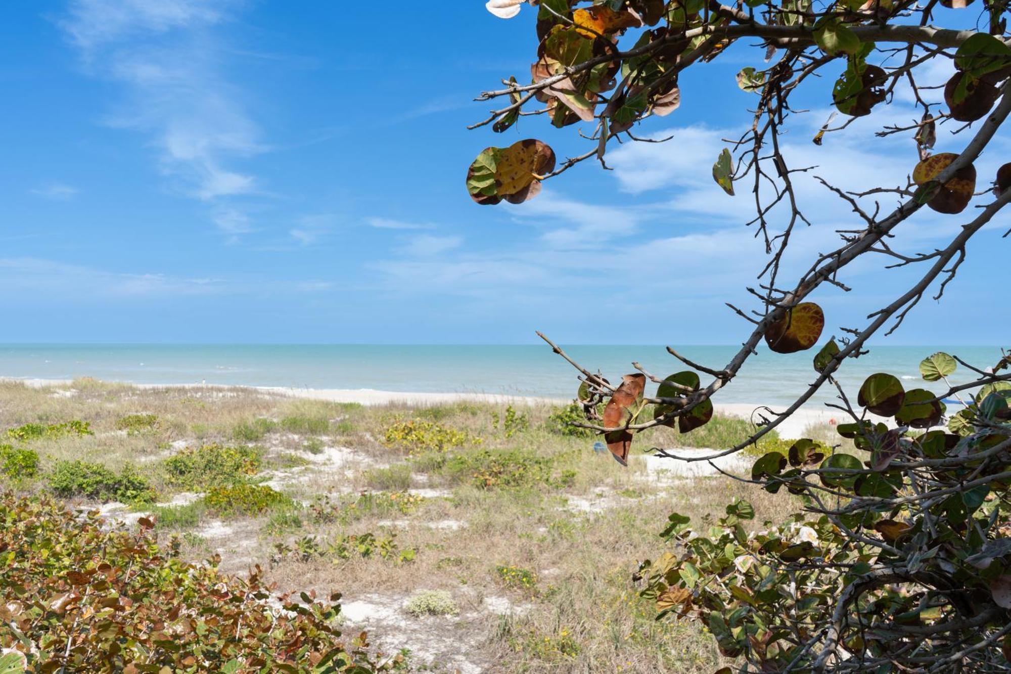 Sole Suite #1-2 Min To Beach-Patio & Courtyard Cocoa Beach Exteriér fotografie